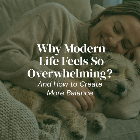 Why Modern Life Feels So Overwhelming? (And How to Create More Balance)