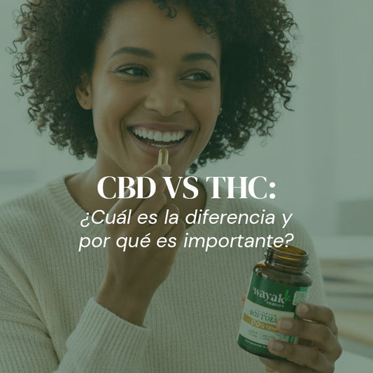 CBD vs THC: What’s the Difference and Why It Matters