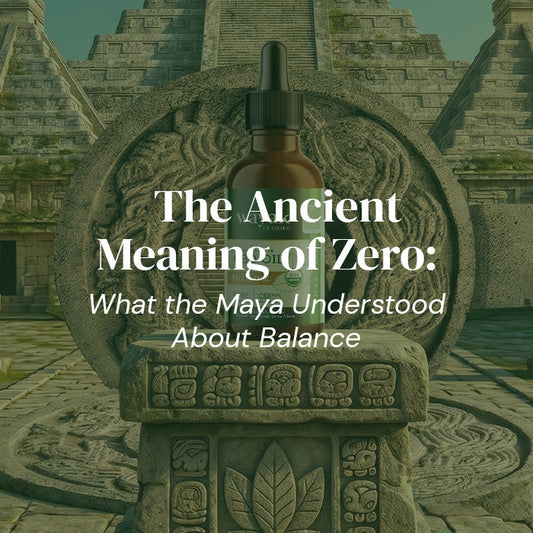 The Ancient Meaning of Zero: What the Maya Understood About Balance