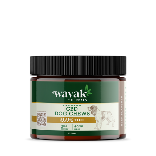 Premium  CBD Dog Chew: Beef Flavored