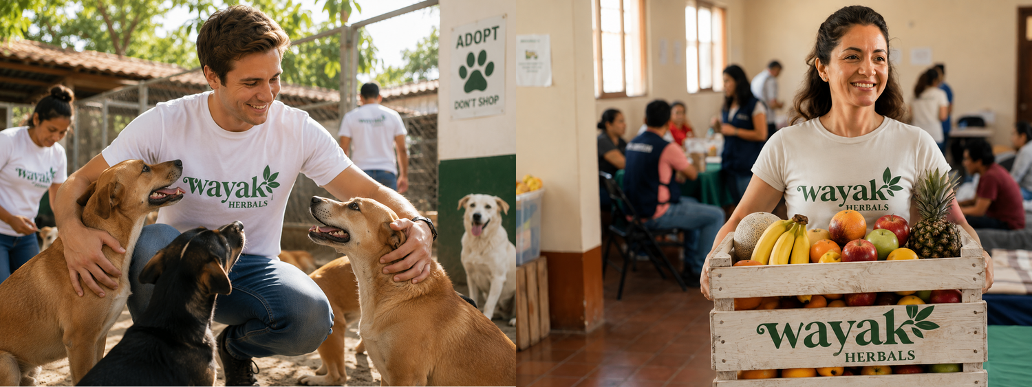 Wayaak Herbals volunteers caring for dogs and distributing fresh fruit in a community setting.