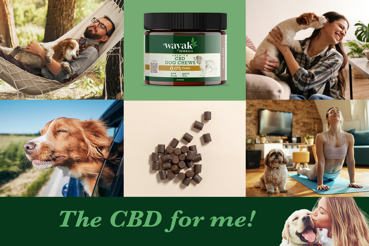 Wayak Herbals CBD Dog Chews - Bacon Beef, 0.0% THC, lifestyle collage with dogs and owners